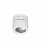 BENEITO CONCORD Lampada da Parete e Soffitto 14W LED SWITCH2 Colori