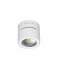 BENEITO CONCORD Lampada da Parete e Soffitto 14W LED SWITCH 2 Colori