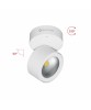 BENEITO CONCORD Lampada da Parete e Soffitto 14W LED SWITCH 2 Colori