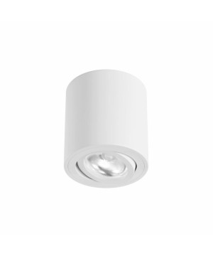 BENEITO ONE SUPERFICIE Lampada da Soffitto 2 Colori